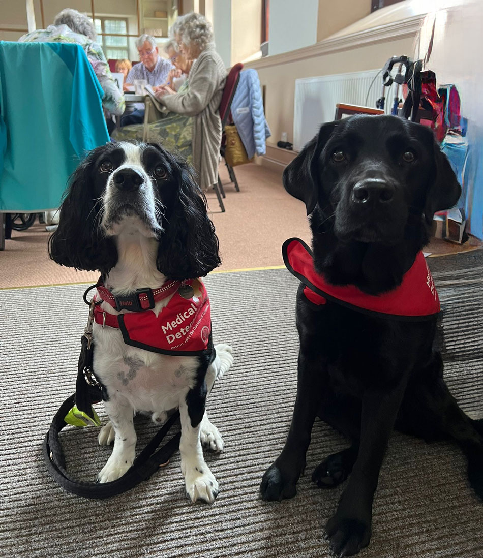 UTI Detection Dogs